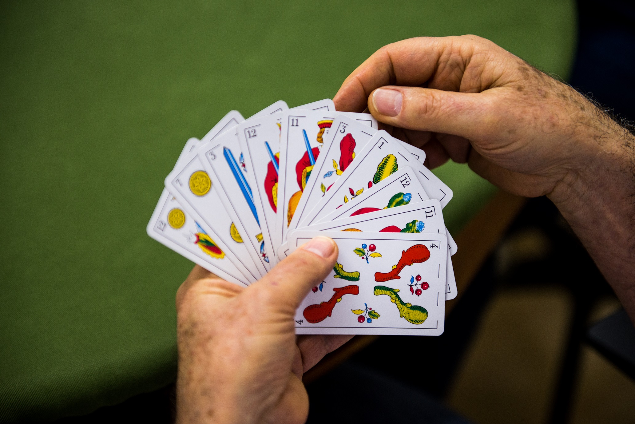 Mãos segurando as cartas características do jogo do quatrilho sobre a mesa verde